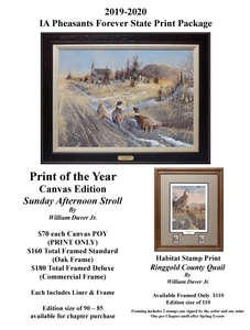 POY1920